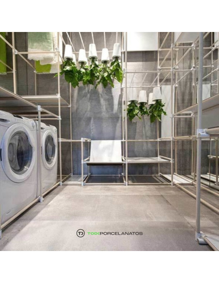 Antico Light Grey Natural 80 X 80